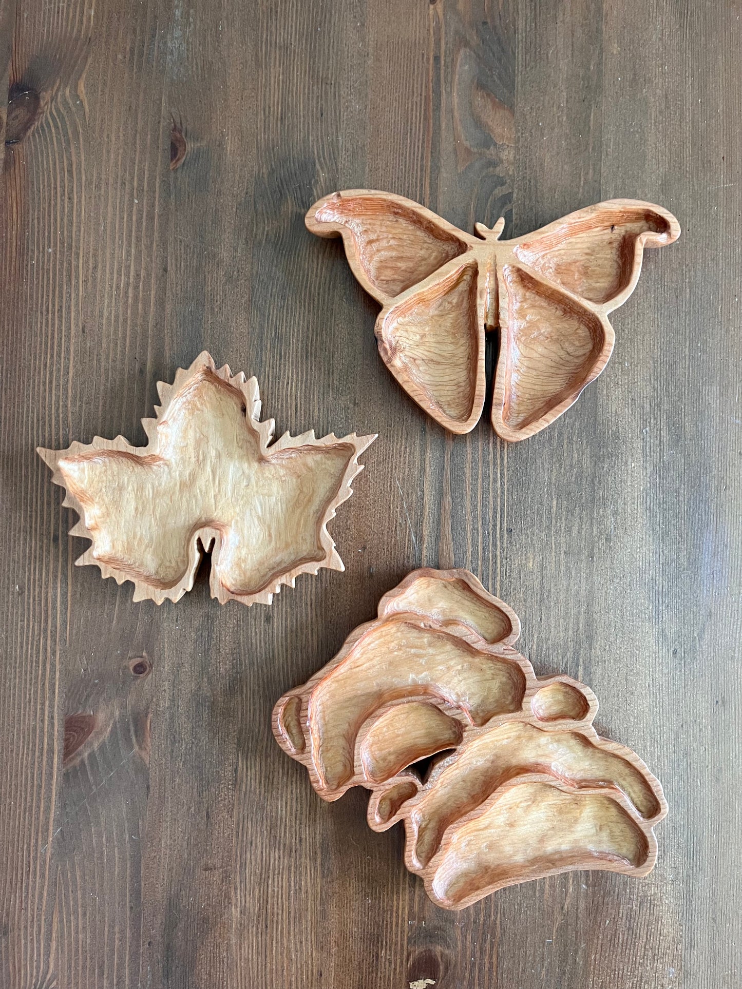 Atlas Moth Catchall Tray