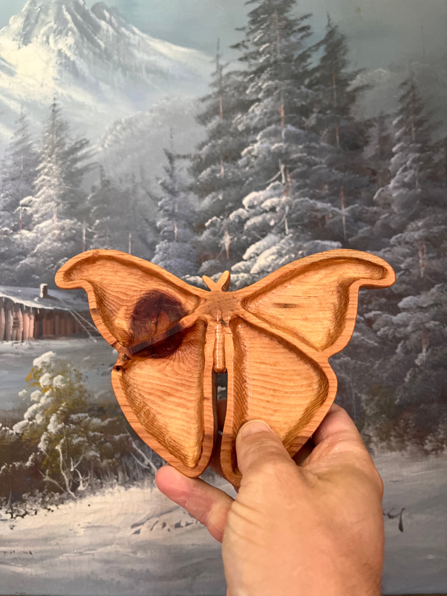 Atlas Moth Catchall Tray