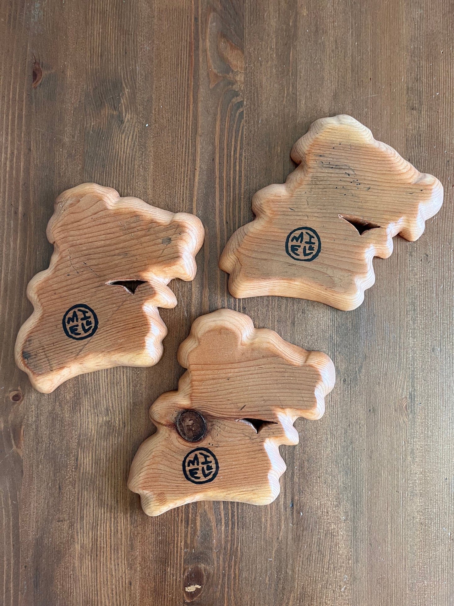 Turkey Tail Mushroom Catchall Tray