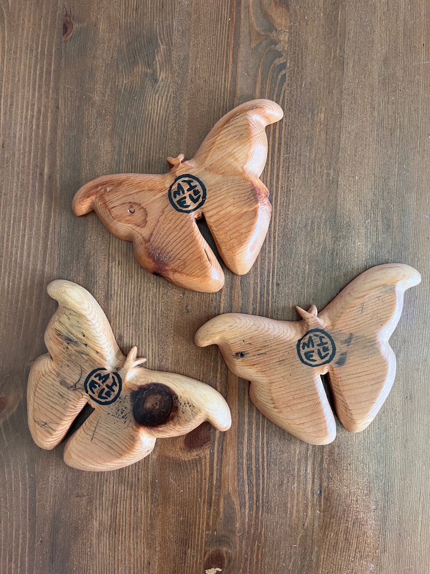 Atlas Moth Catchall Tray