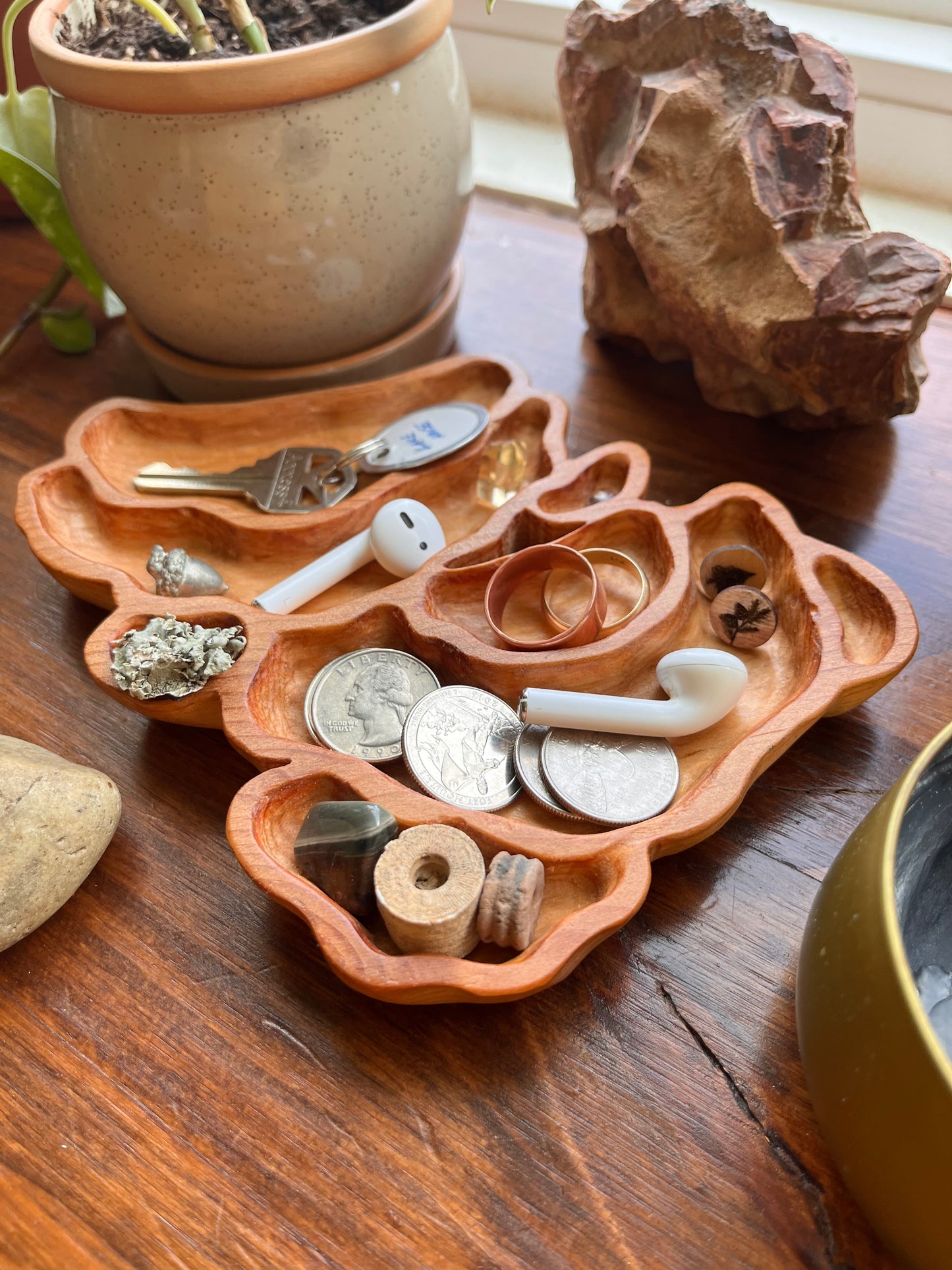 Turkey Tail Mushroom Catchall Tray