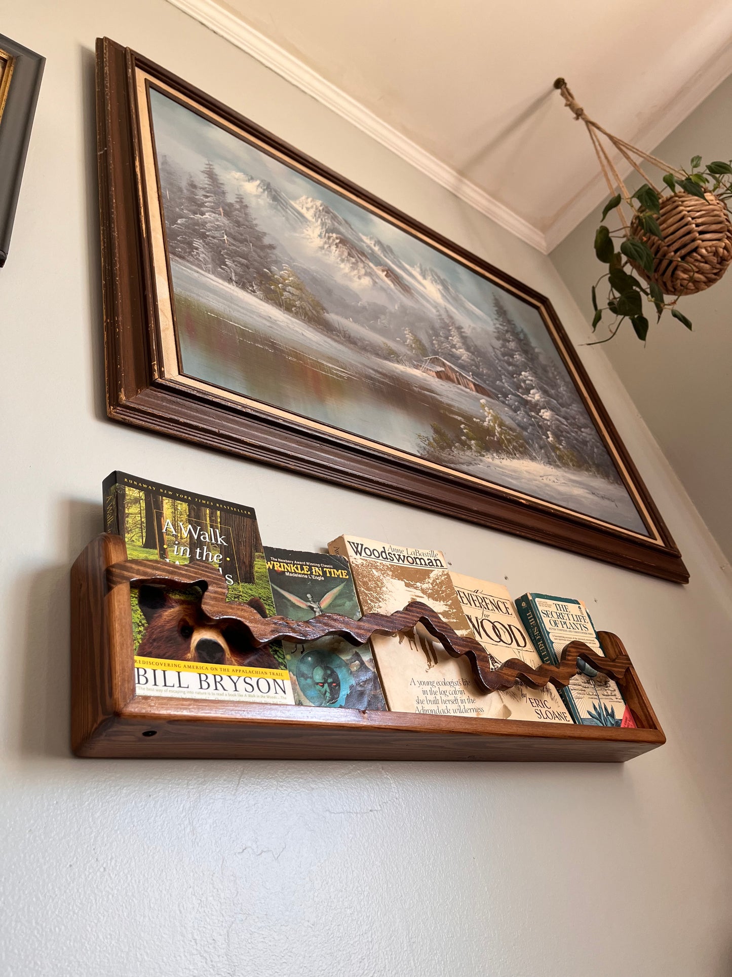 Front Facing Bookshelf with River Accent