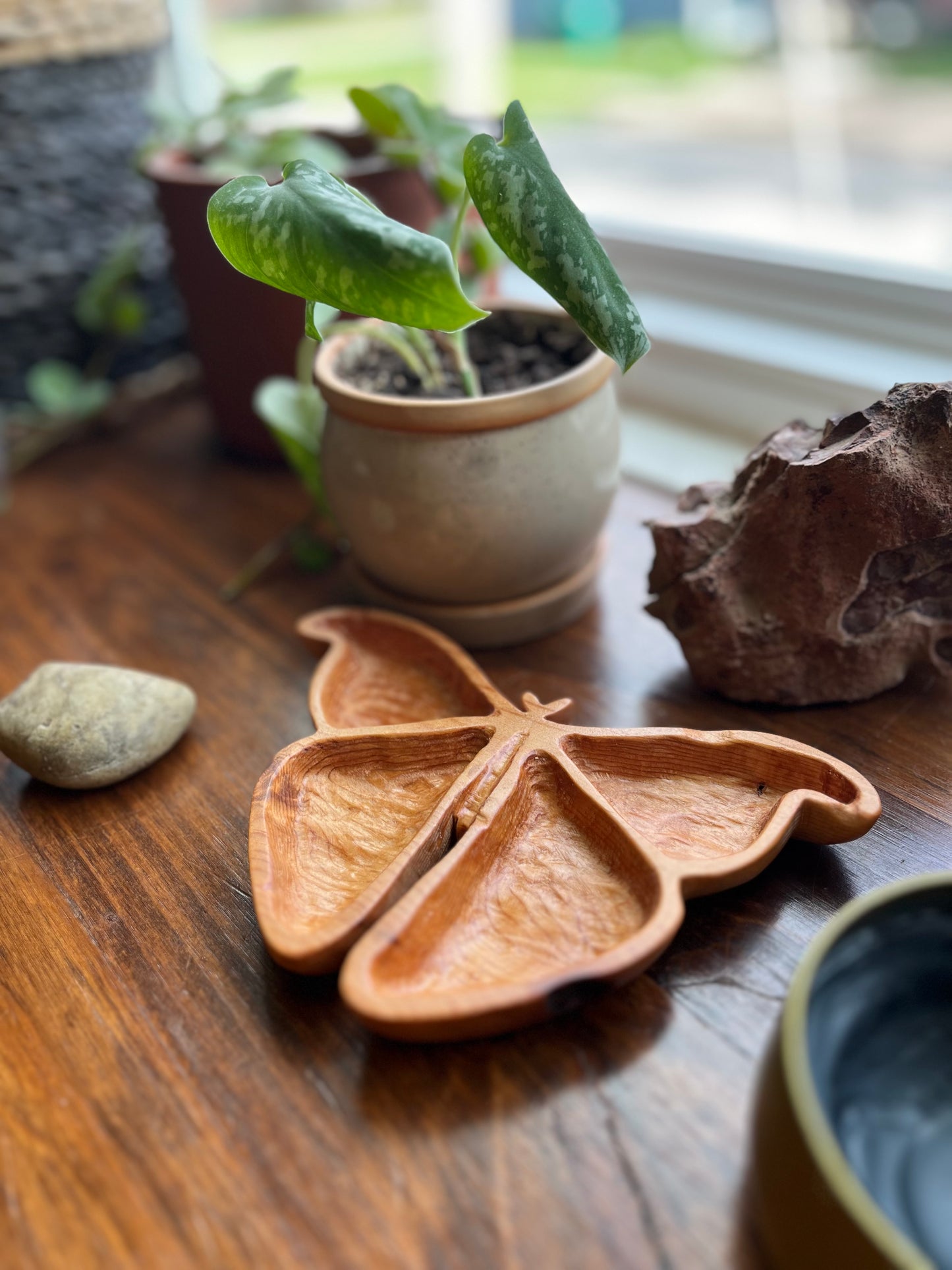 Atlas Moth Catchall Tray