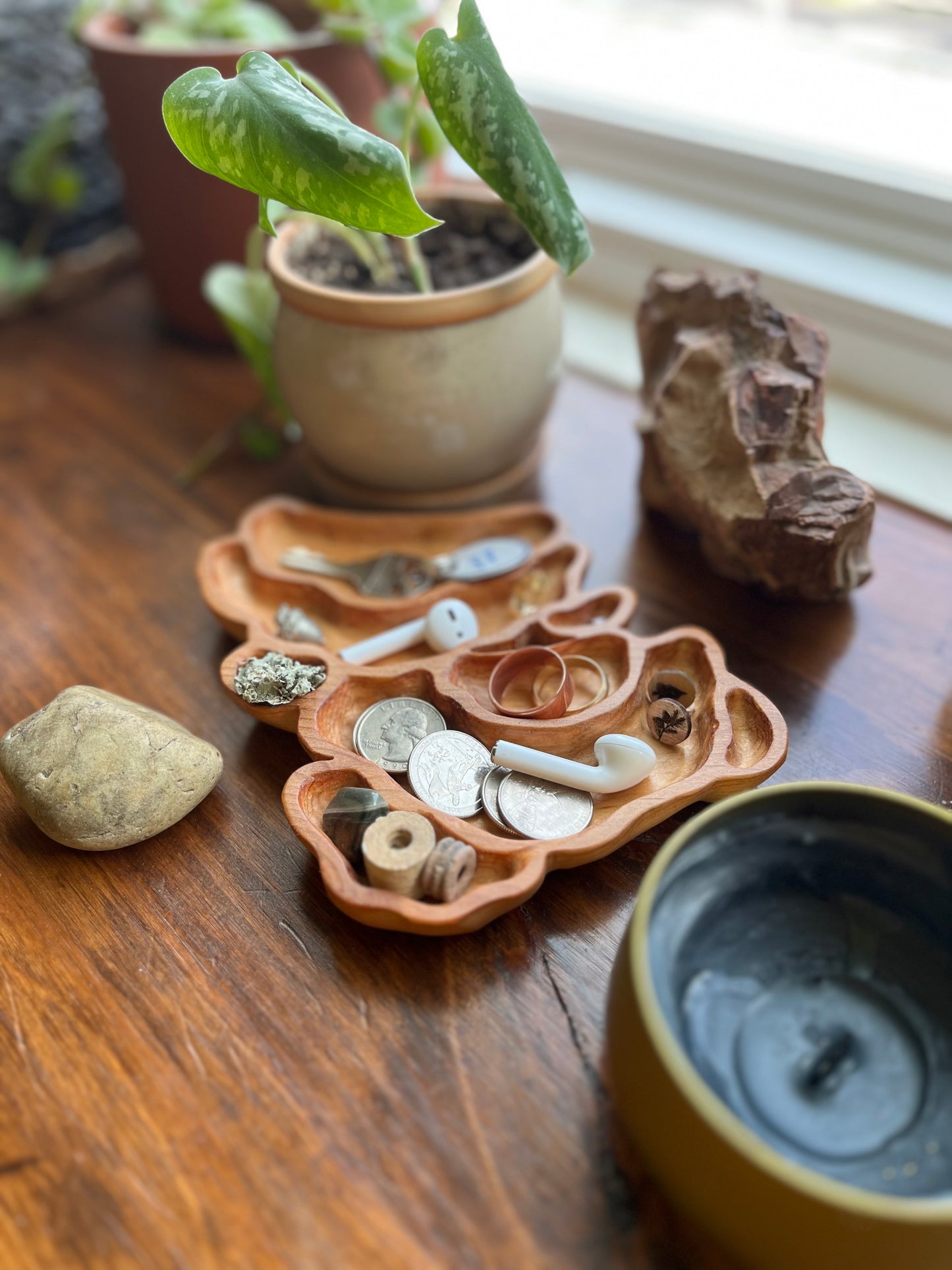 Turkey Tail Mushroom Catchall Tray