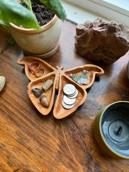 Atlas Moth Catchall Tray