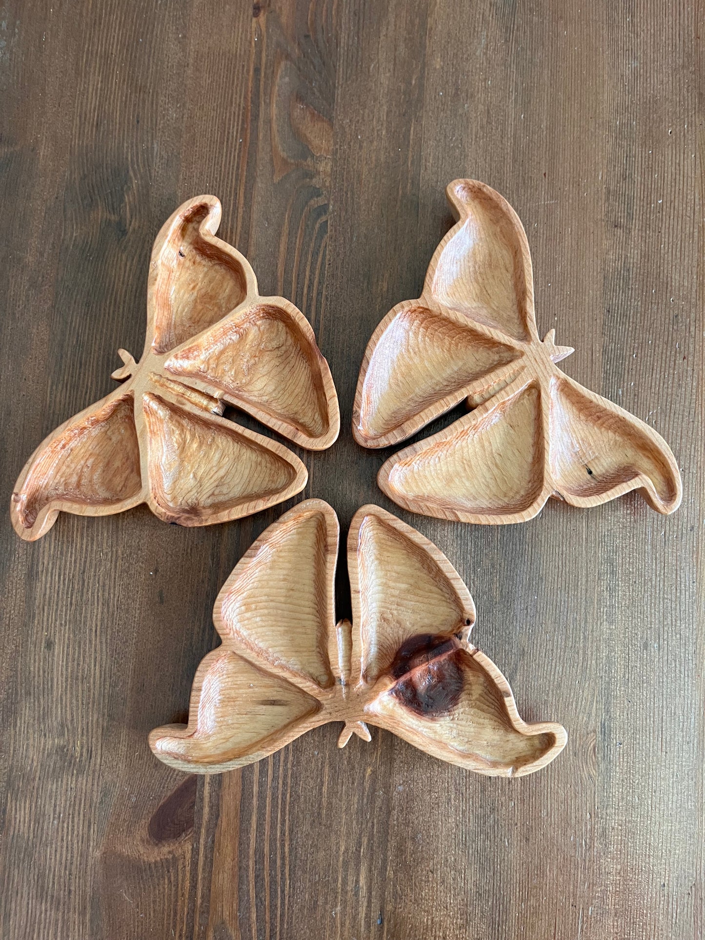 Atlas Moth Catchall Tray