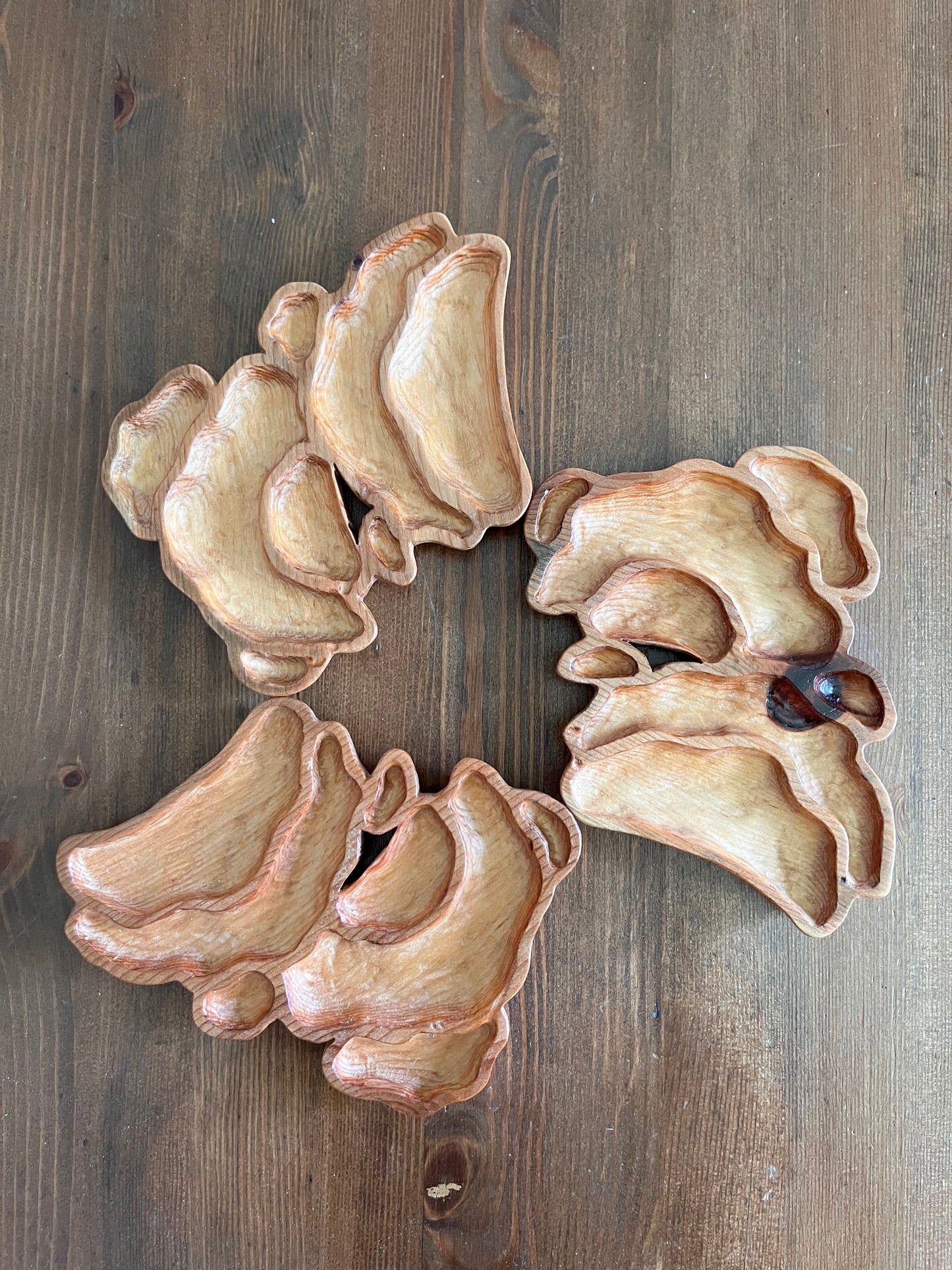 Turkey Tail Mushroom Catchall Tray