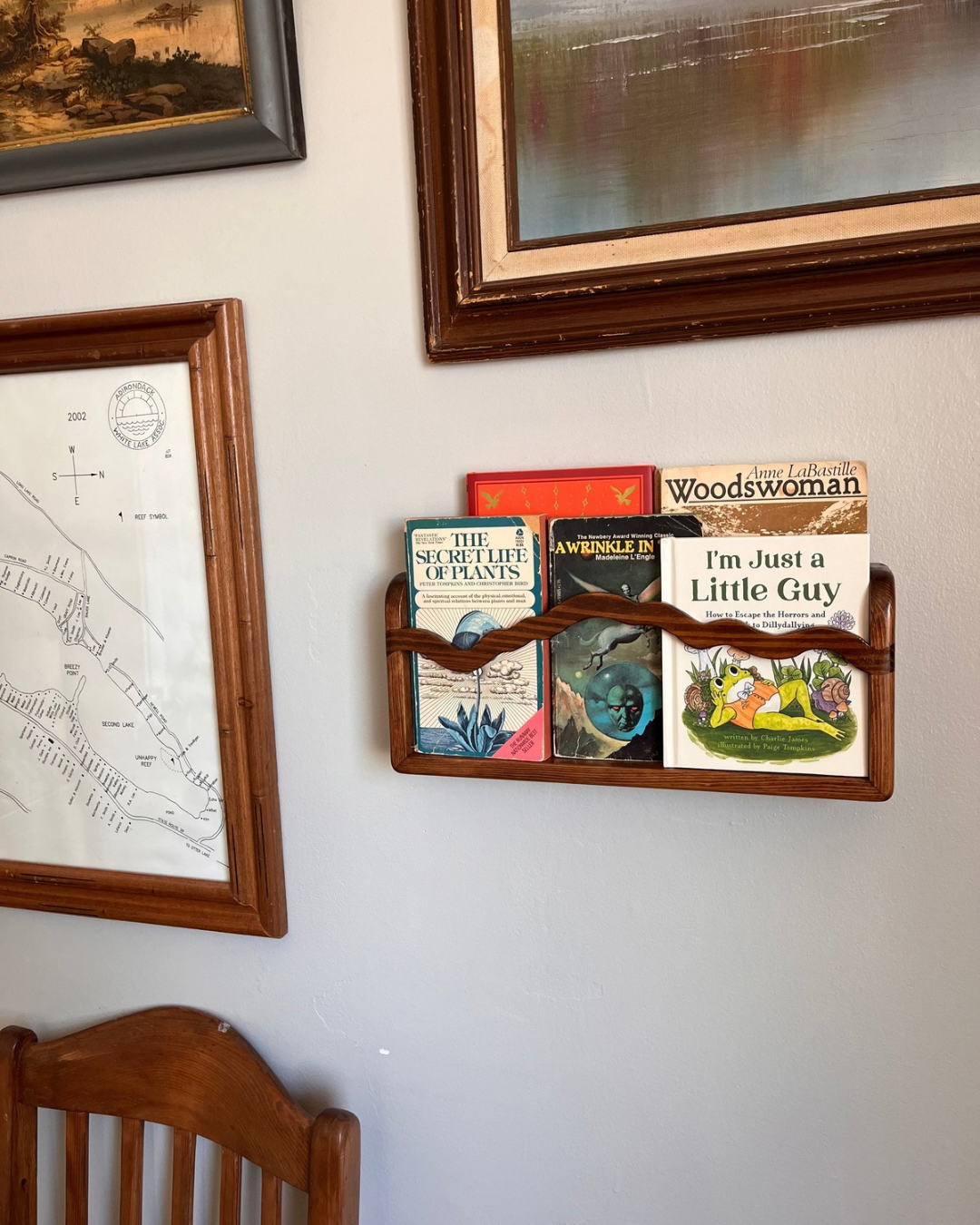 Front Facing Bookshelf with River Accent
