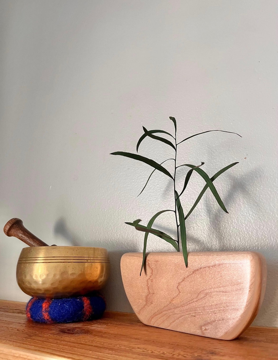 Modern Sprig Holders