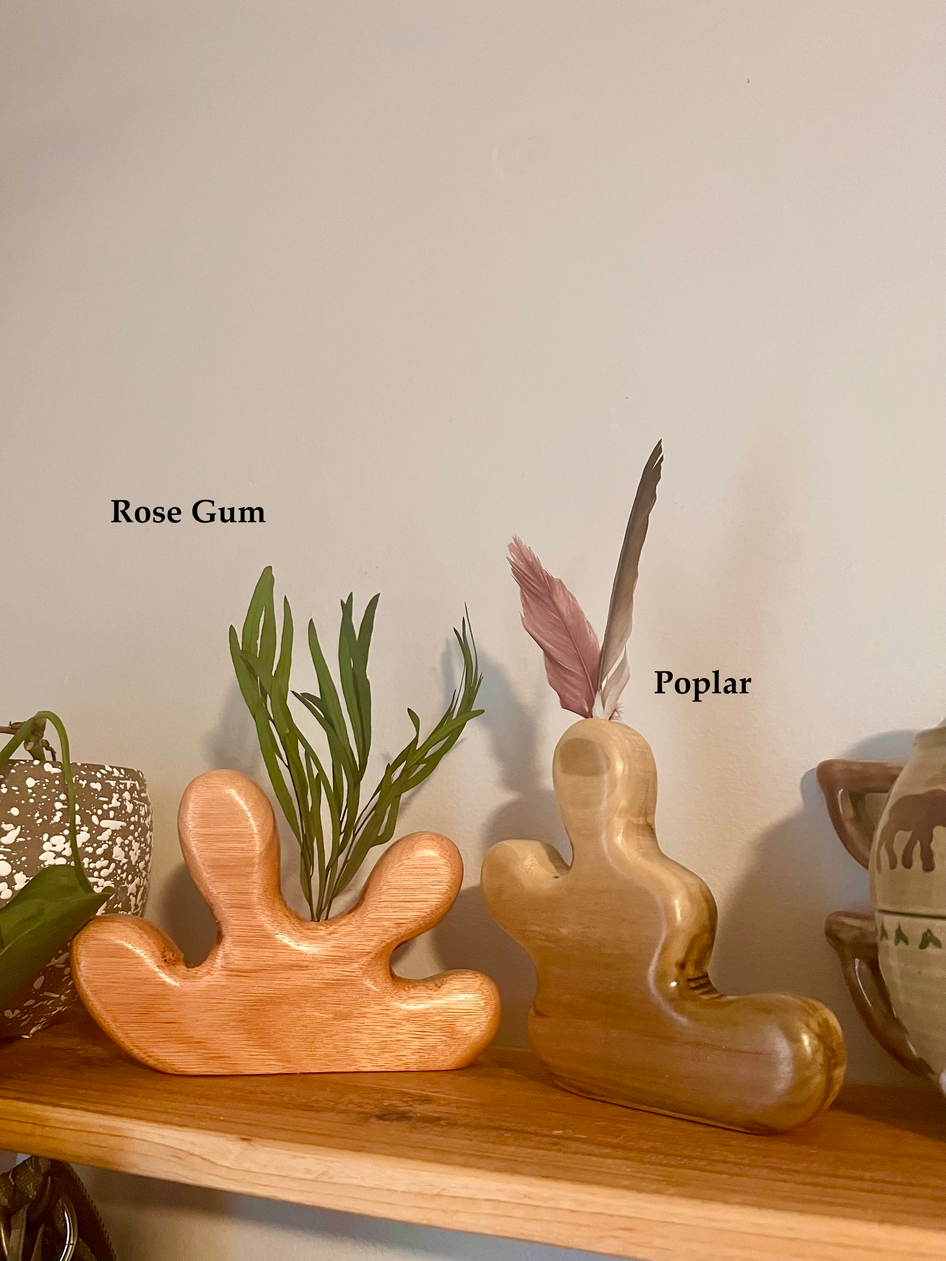 Two wooden vases labeled 'Rose Gum' and 'Poplar' on a shelf.